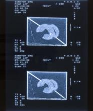 52/01.17 Ohne Titel (Phar Lap's Heart), 1990