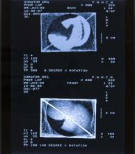52/01.24 Ohne Titel (Phar Lap's Heart), 1990