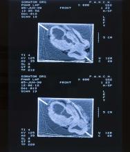 52/01.08 Ohne Titel (Phar Lap's Heart), 1990
