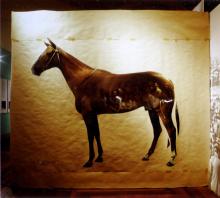 51 Mystery Horse, 1990