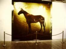 51/01 Mystery Horse