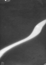 30/01.06 Ohne Titel, 1983