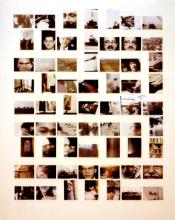 54/01.FR36 Natur der Bilder (Image by Nature), 1991/1992